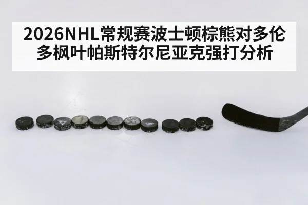 2026NHL常规赛波士顿棕熊对多伦多枫叶帕斯特尔尼亚克强打分析