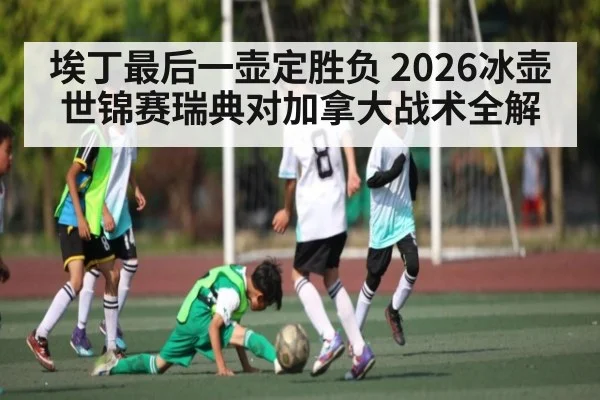 埃丁最后一壶定胜负 2026冰壶世锦赛瑞典对加拿大战术全解