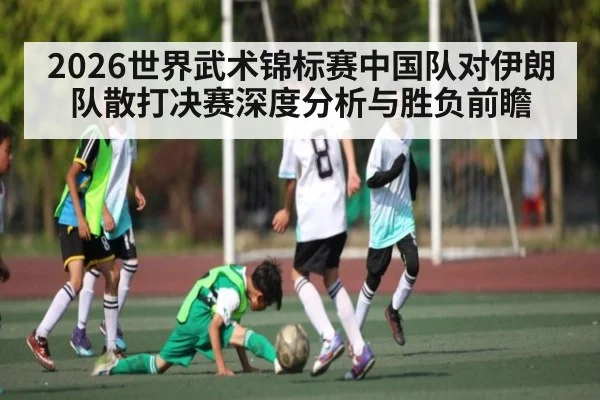 2026世界武术锦标赛中国队对伊朗队散打决赛深度分析与胜负前瞻